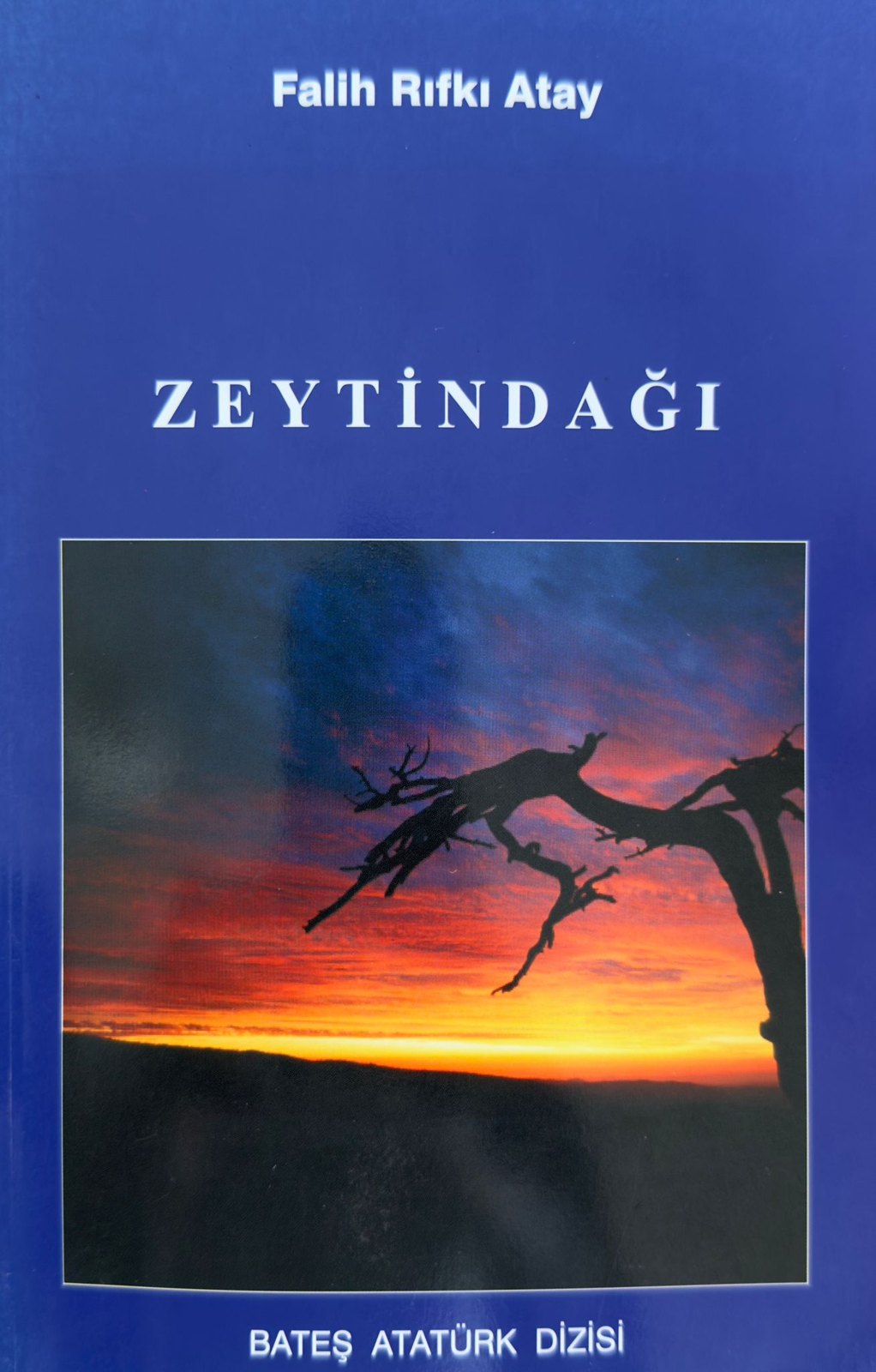 Zeytindağı