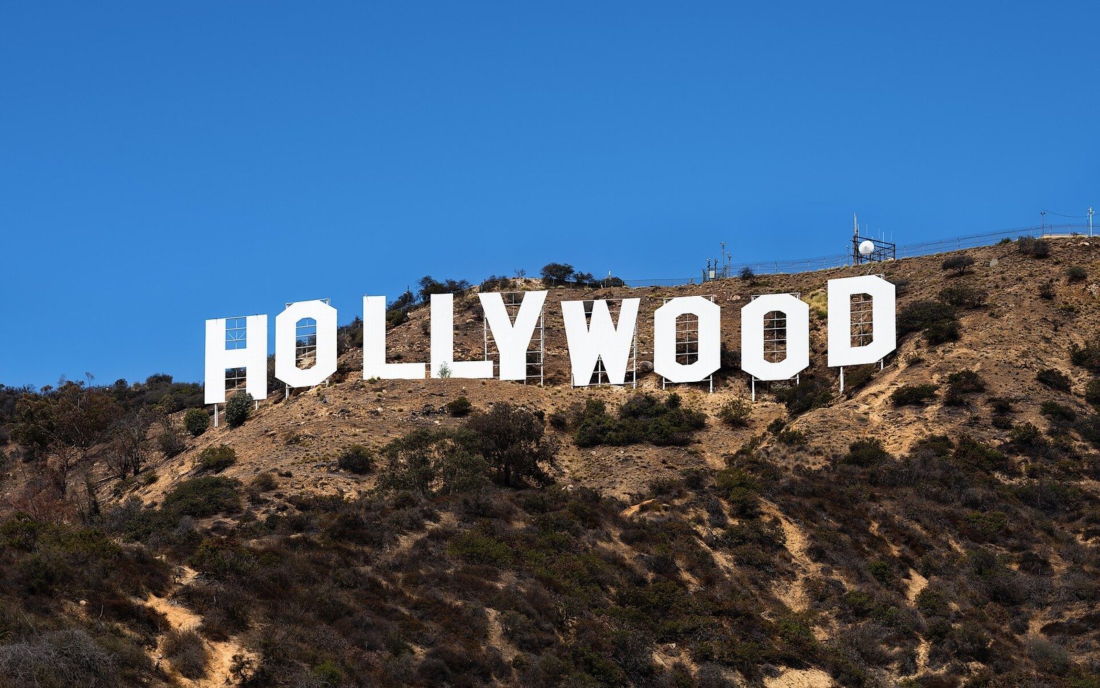 Hollywood yazısı